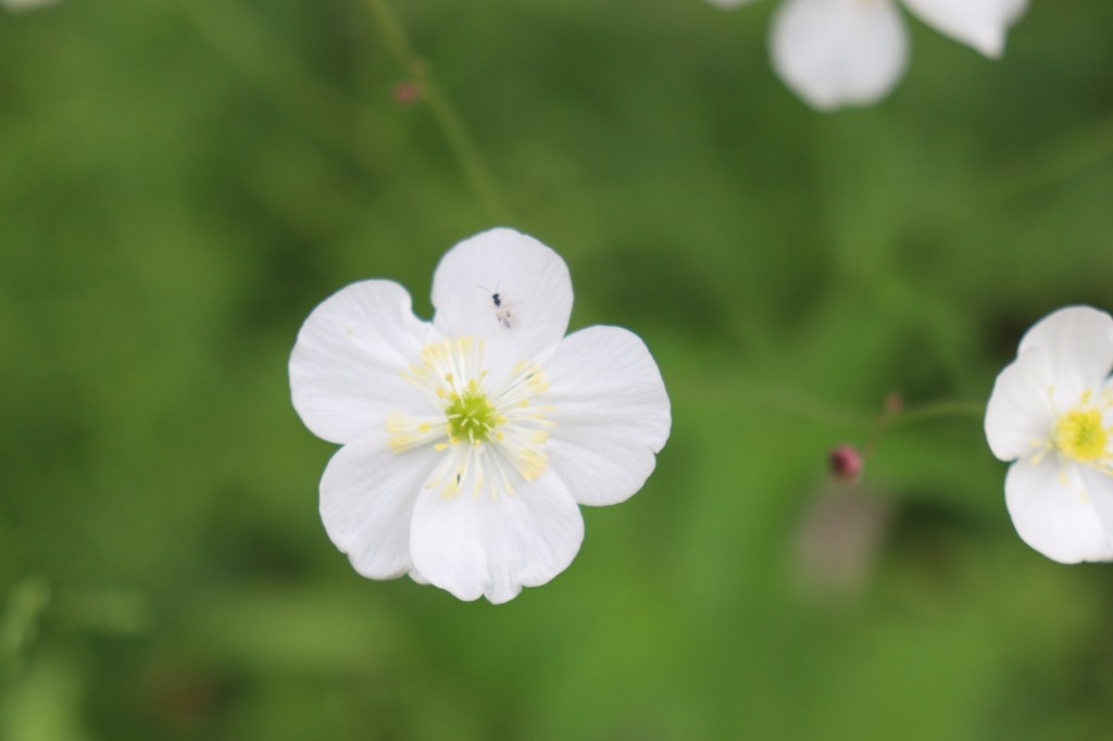 Non scrivo dei tempi&nbsp;contemporanei