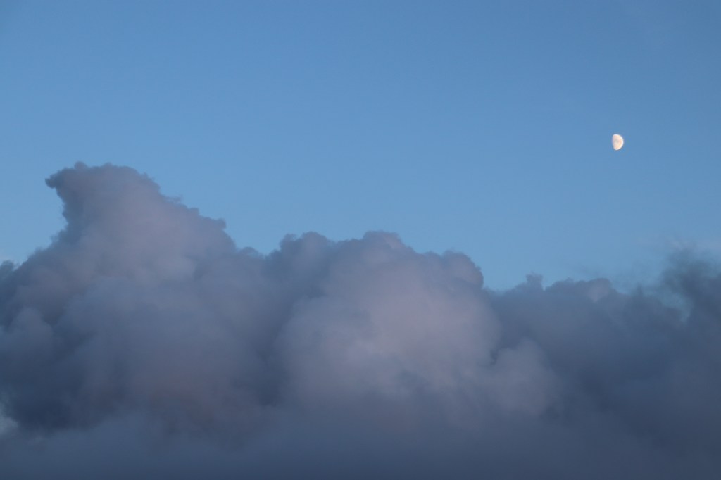 Il ruolo contemporaneo dell’intellettuale