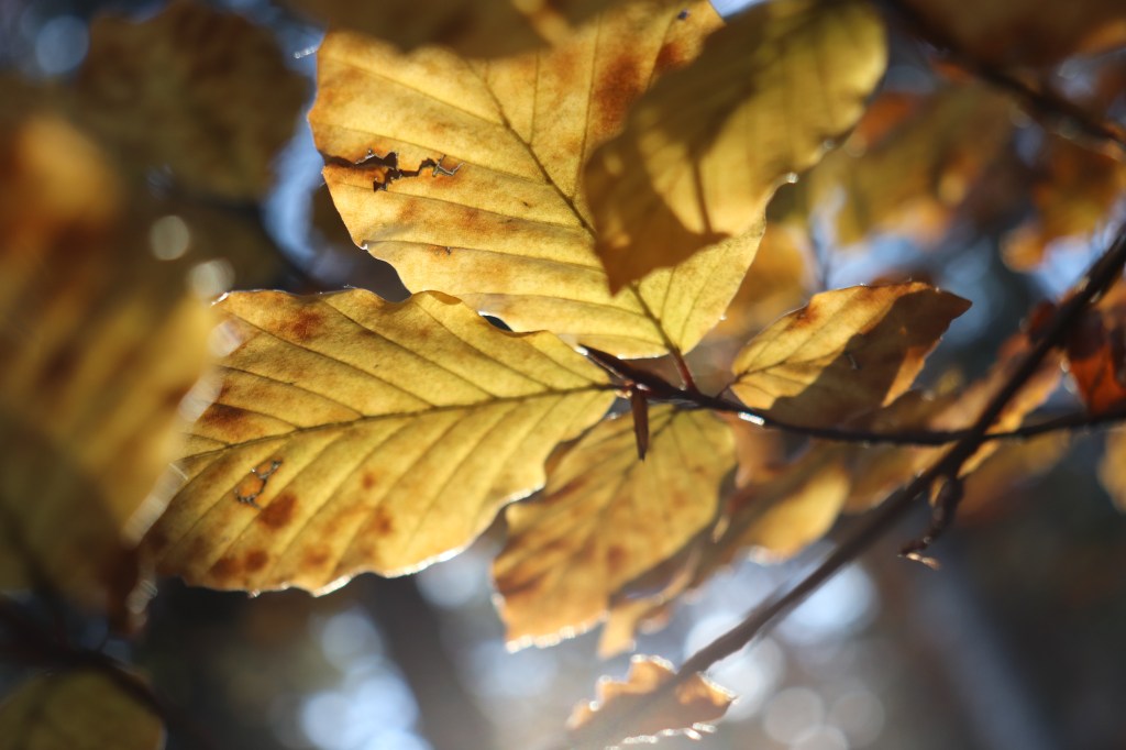 L’autunno non delude mai!!!&nbsp;❤