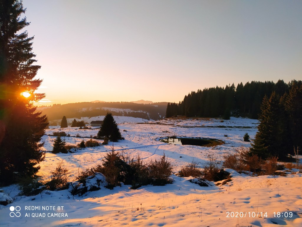 Storia di una dipendenza finita bene, ovvero, a che cosa serve leggere&nbsp;libri.