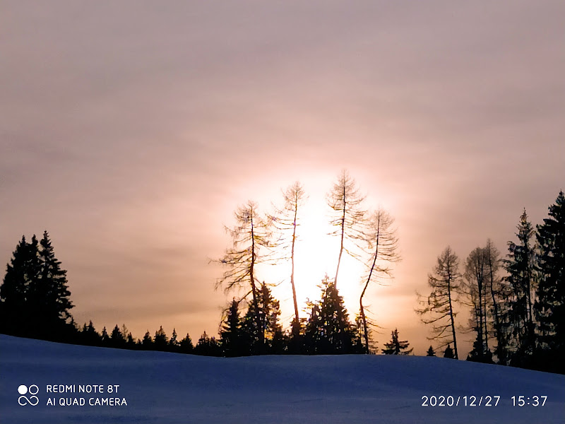 “Capitano, mio Capitano!!”