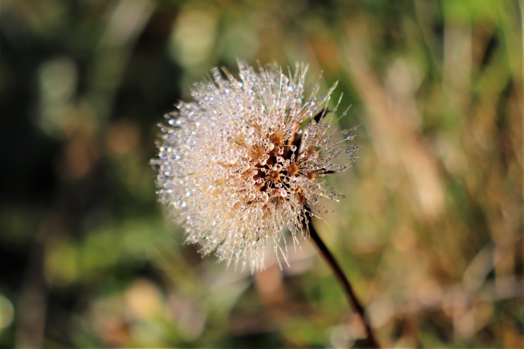 L’autunno regala un mondo quasi meravigliosamente deserto