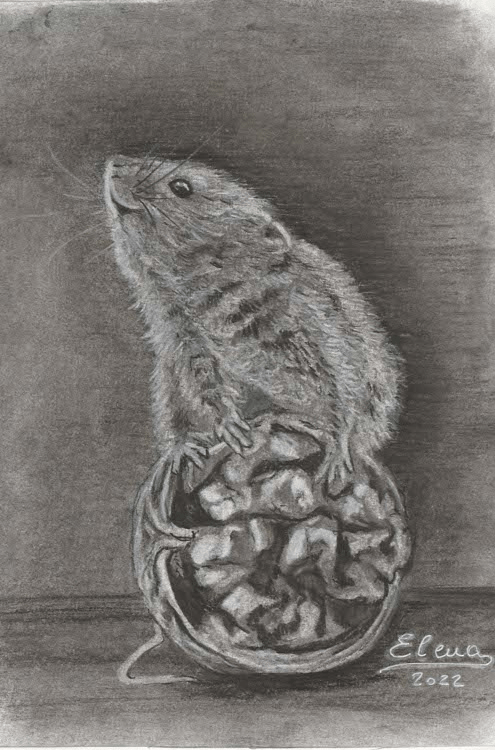 Dai, dai… facciamoci un po’ di Mozart! Anzi no, di Vivaldi, mi son sbagliata, scusate…. :D&nbsp;:D