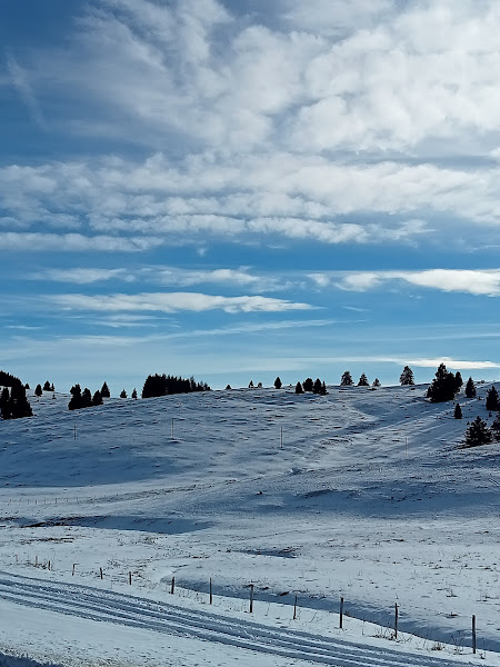 Nacchere, chitarre e&nbsp;flamenco