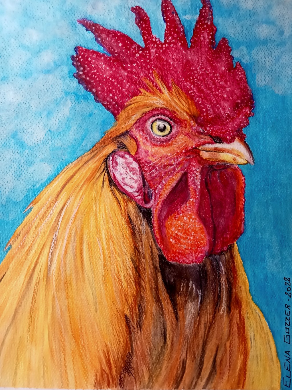 C’era una volta un&nbsp;gallo…