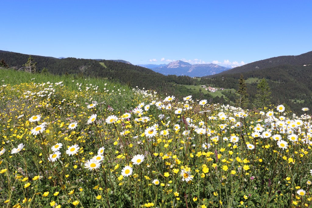 Quando i poeti risollevano&nbsp;l’animo