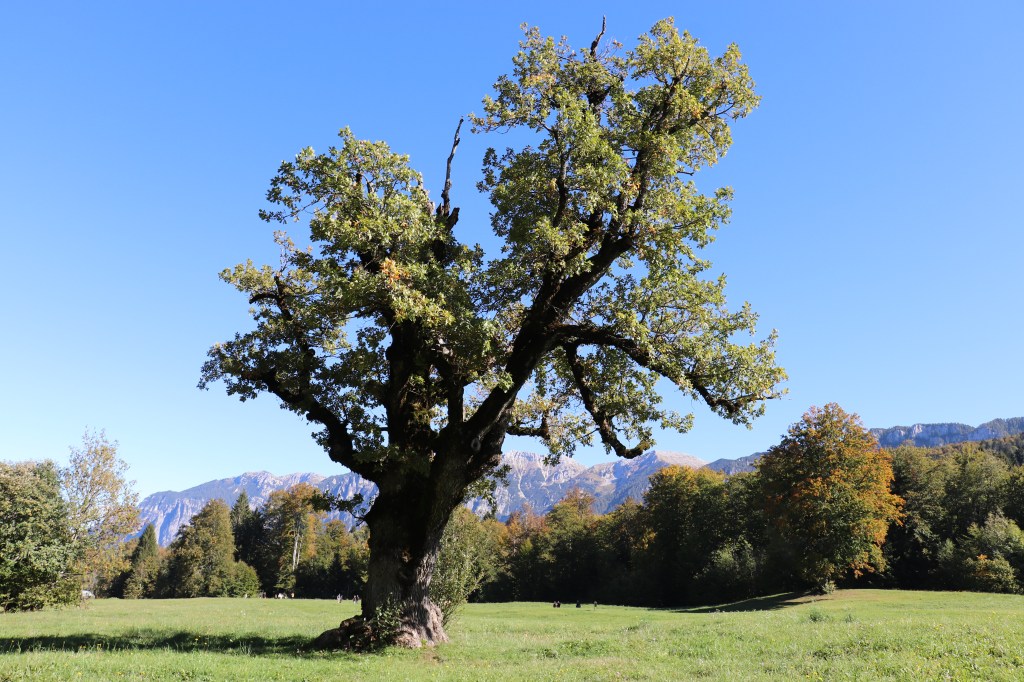 Una vita in&nbsp;scatola