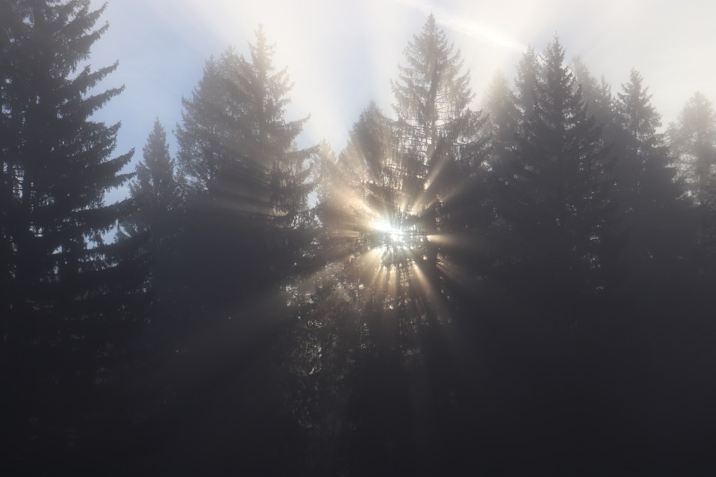 Letture per chi cerca il senso delle&nbsp;cose