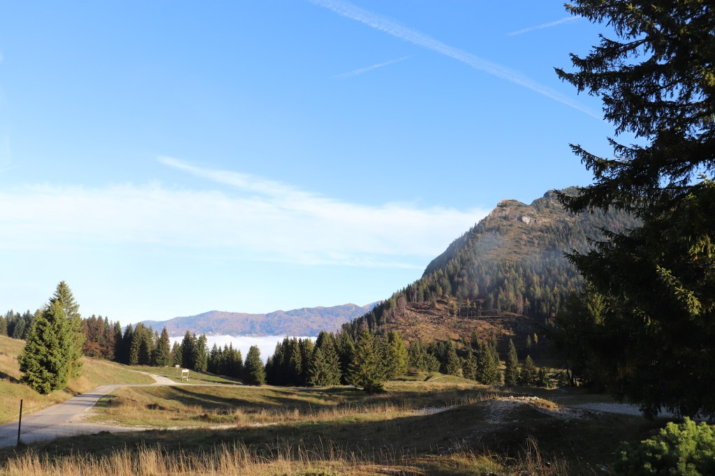 Questo è il gioco delle&nbsp;domande