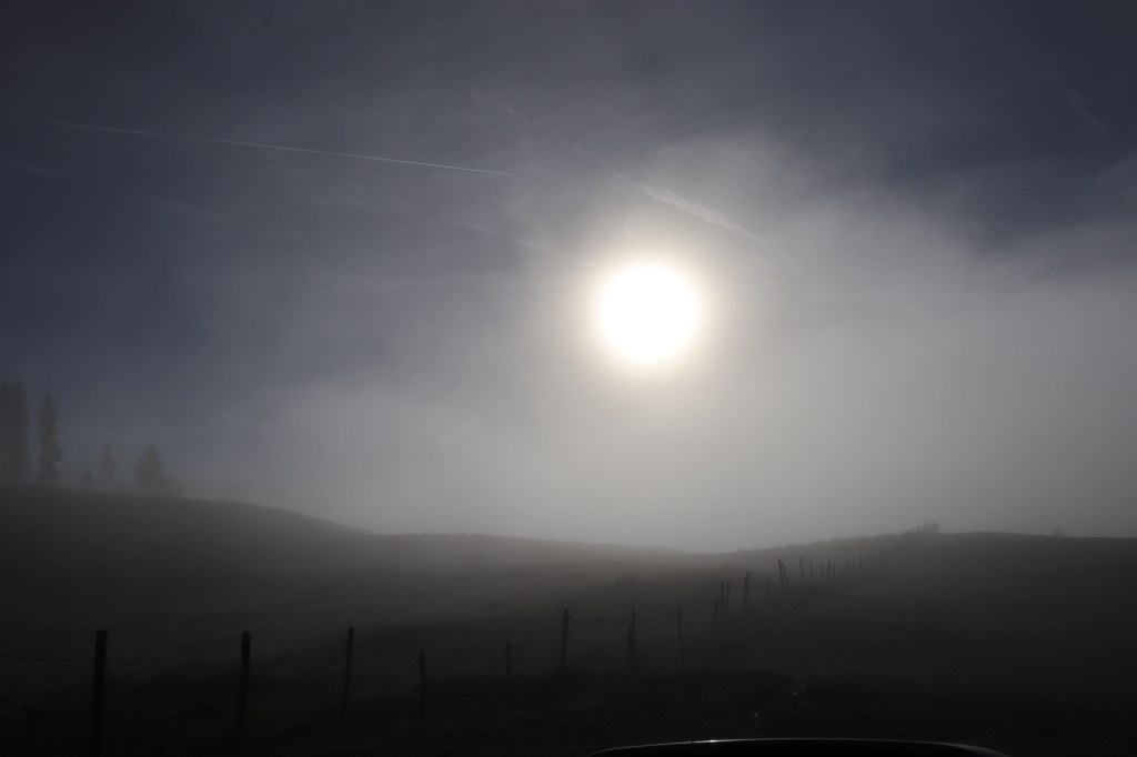 “Strano, vagare nella nebbia”&nbsp;(cit.)