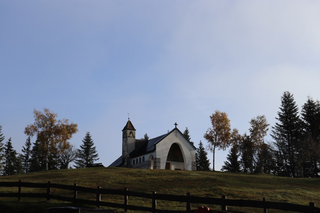 La lotta è in corso! Chi avrà la&nbsp;meglio?