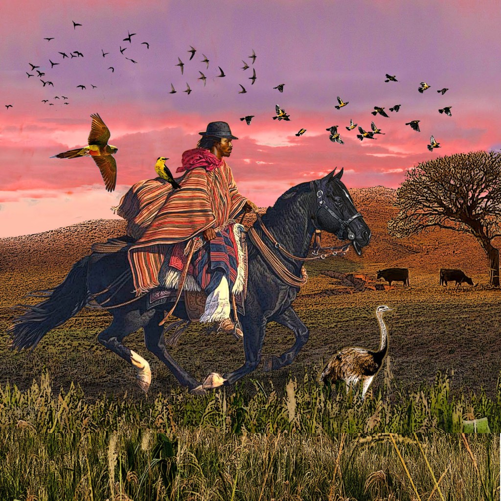 Danze argentine – il&nbsp;Malambo