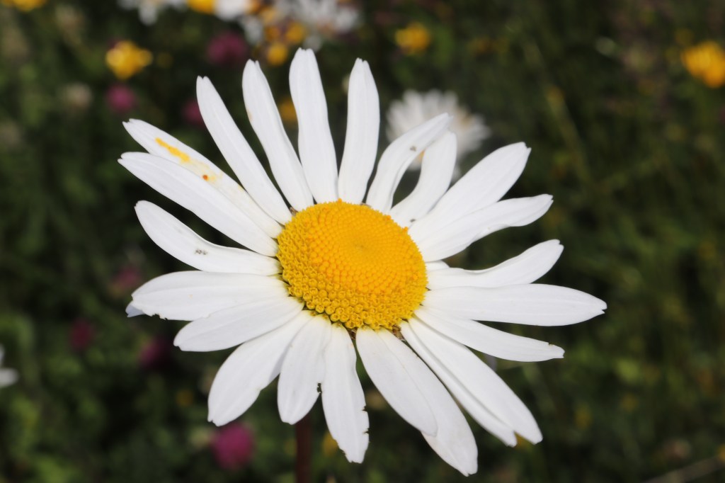 Allegri 😄 con brio 😉Buon giorno a tutti&nbsp;❤