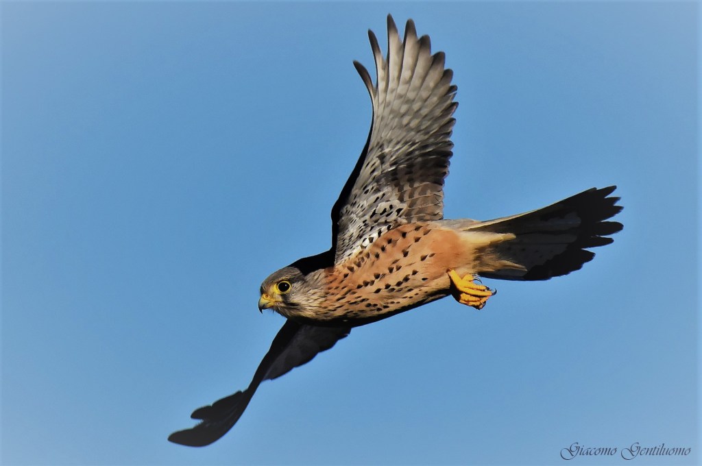 Breve corso su come liberarsi dai&nbsp;condizionamenti