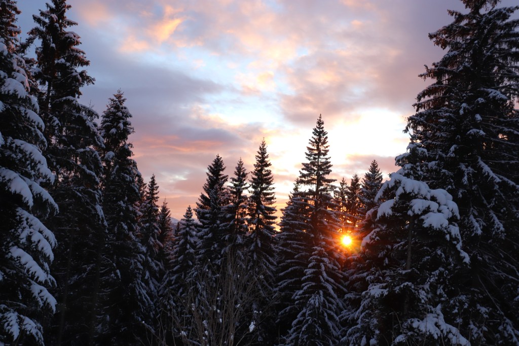 Amore a prima&nbsp;vista