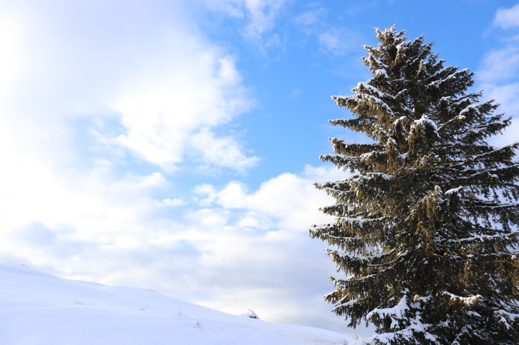 La solitudine è come la&nbsp;grappa