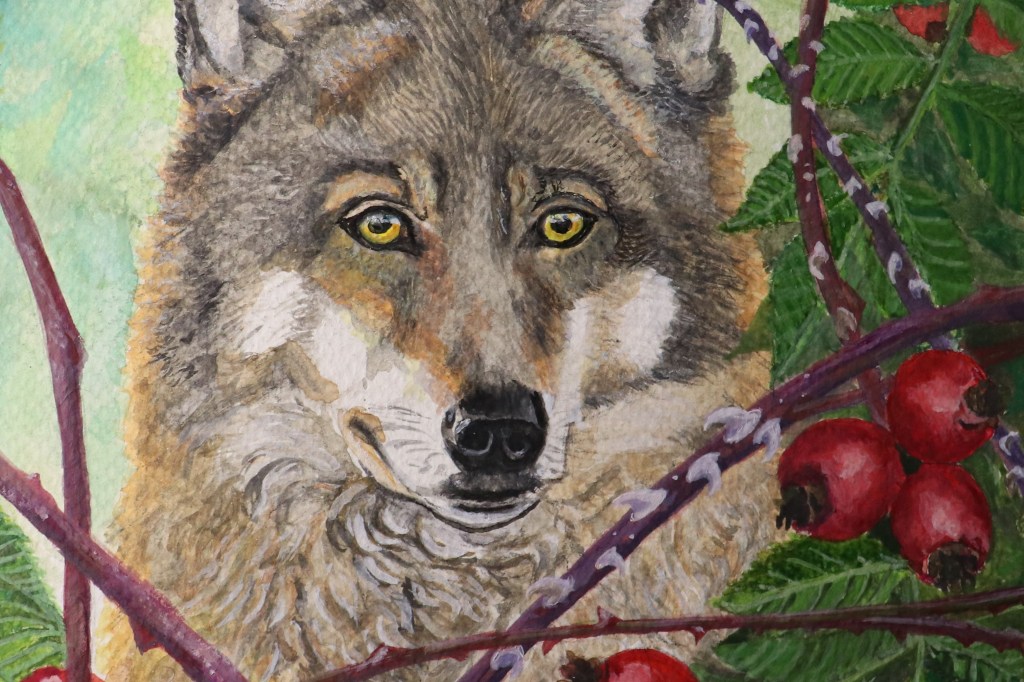 Il ritorno dell’Eremita