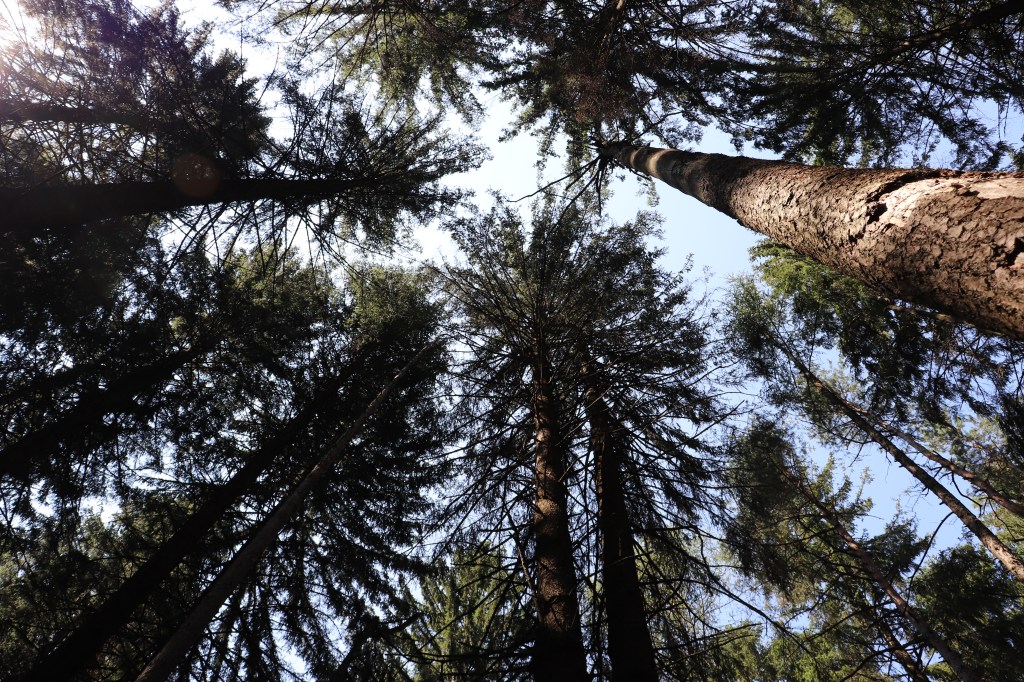 I momenti peggiori, sono sempre i&nbsp;migliori