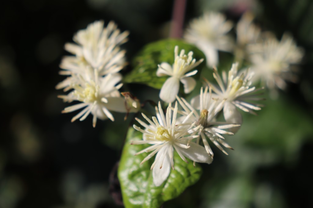 Pensa che ti&nbsp;pensa…