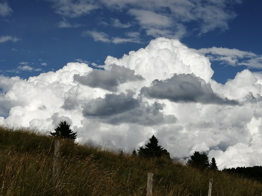 Quando fra le cose belle c’è l’imbarazzo della scelta