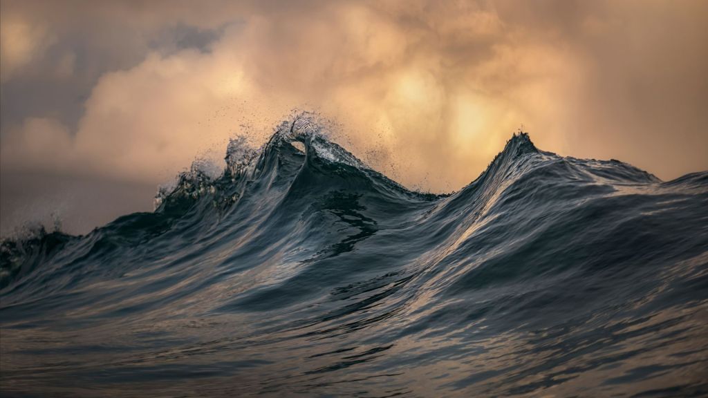 Ma noi, cosa siamo? Cosa siamo veramente,&nbsp;intendo…