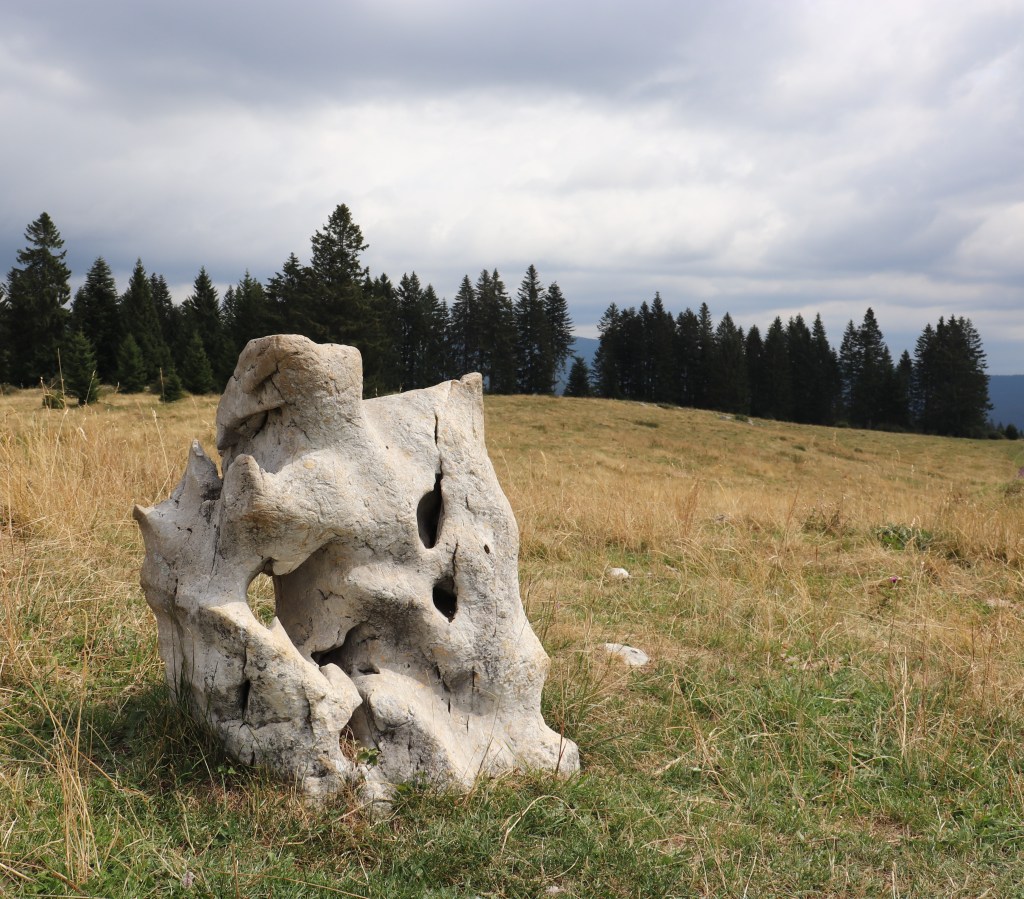 Dall’immaginazione alla realtà