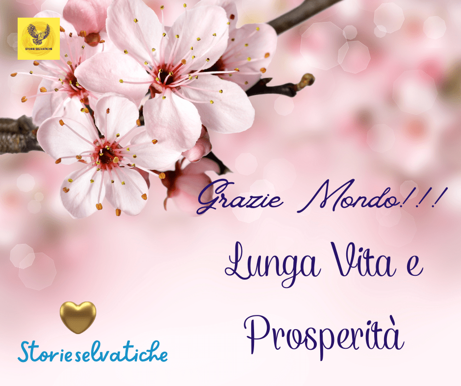 Che cos’è Ubuntu?