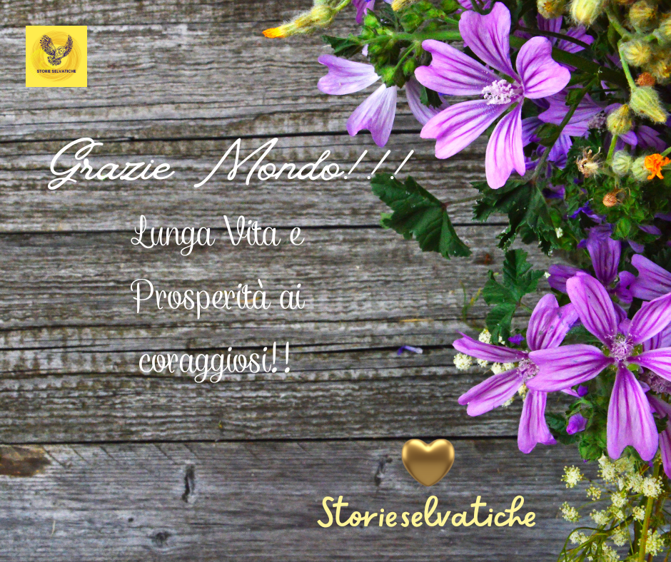 James Brown, Bobby Bland, B.B King – Blues&nbsp;medley💚🌻