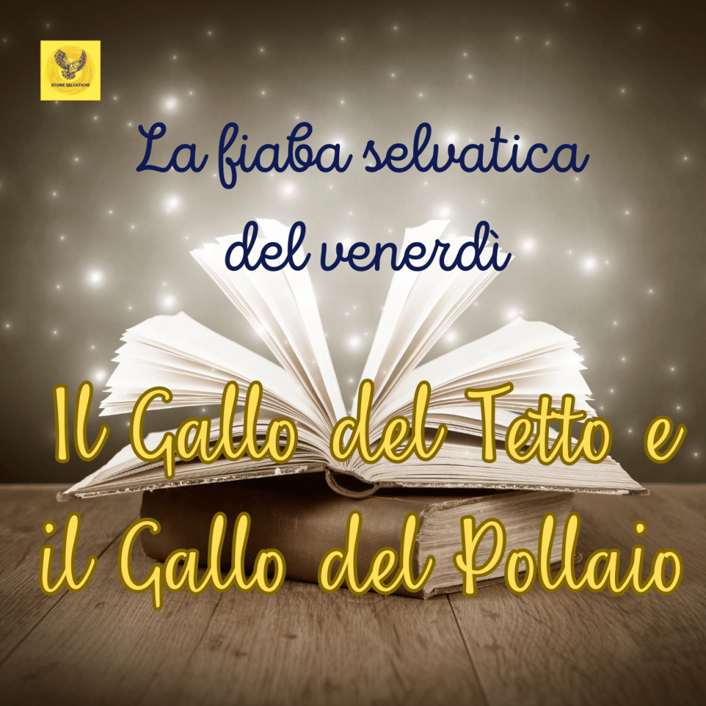 Il gallo del tetto e il gallo del pollaio – La&nbsp;fiaba
