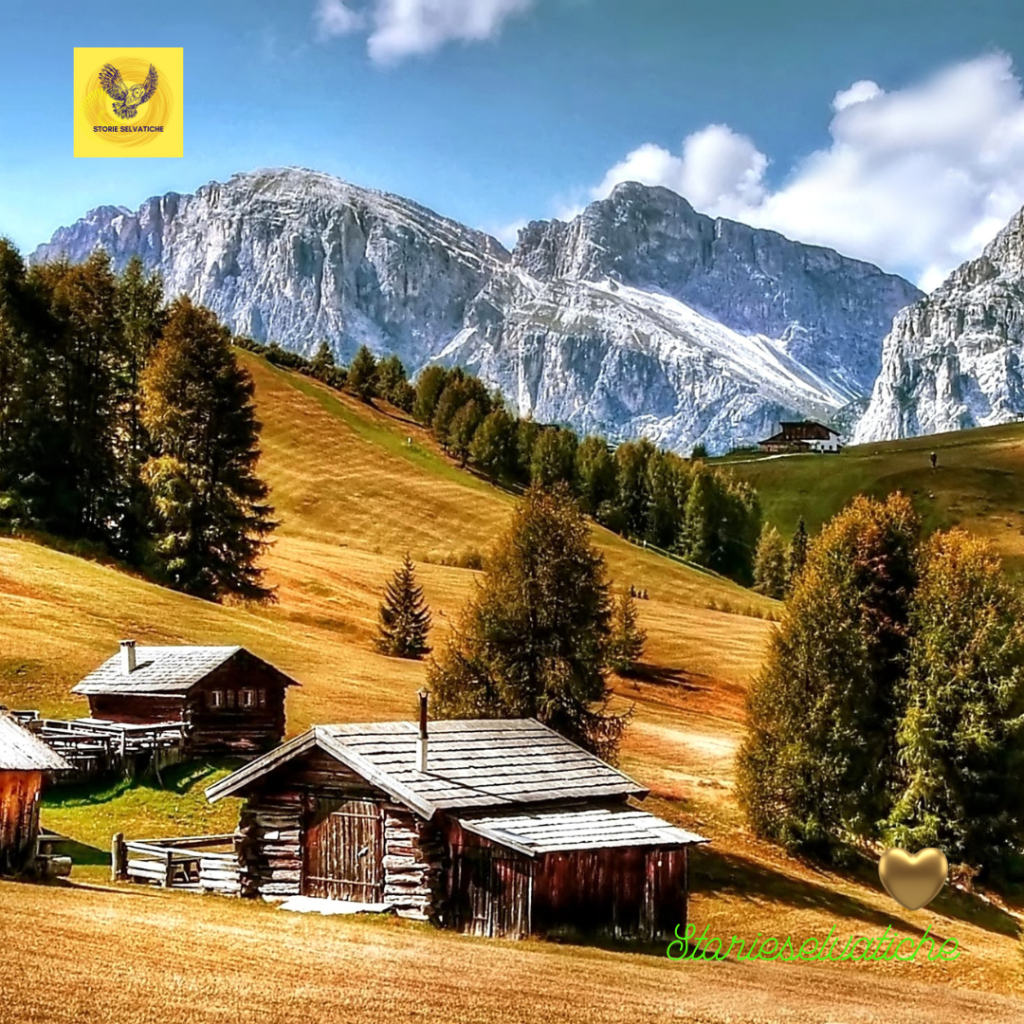 La Montagna che ti&nbsp;salva