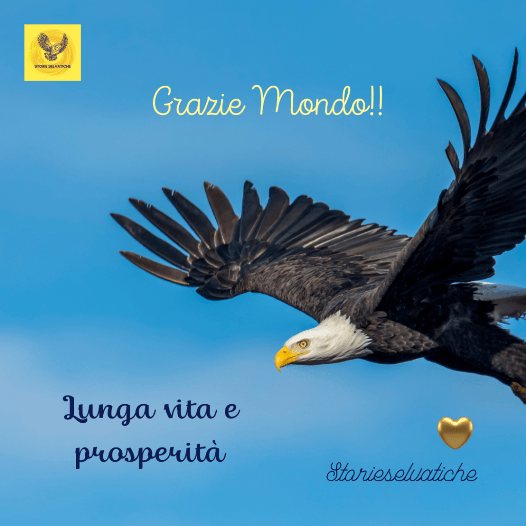 Il cielo in una&nbsp;stanza