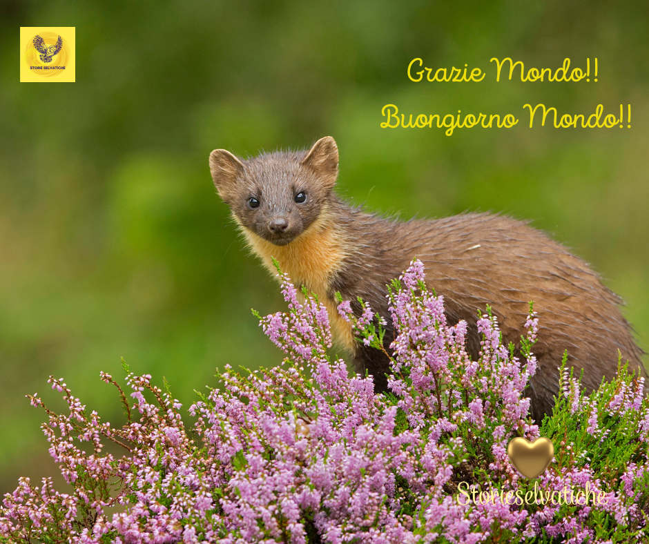 Eric Clapton, Keith Richards, Chuck Berry -Jam&nbsp;1986-💚💛💚🌻