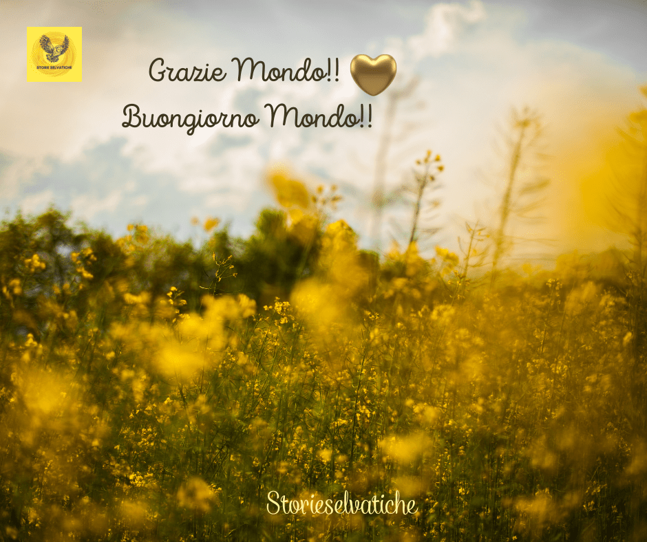 Un borgo abitato da&nbsp;artisti