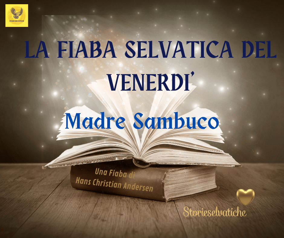 Madre Sambuco –&nbsp;Fiaba