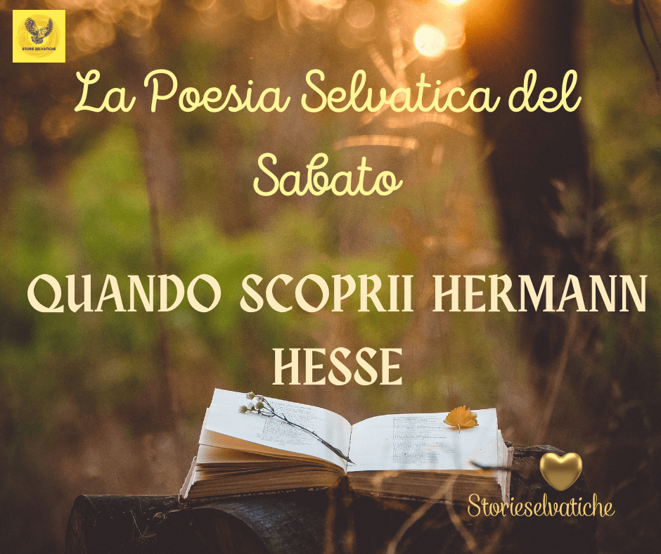 “Andai nei boschi perché desideravo vivere con saggezza.”