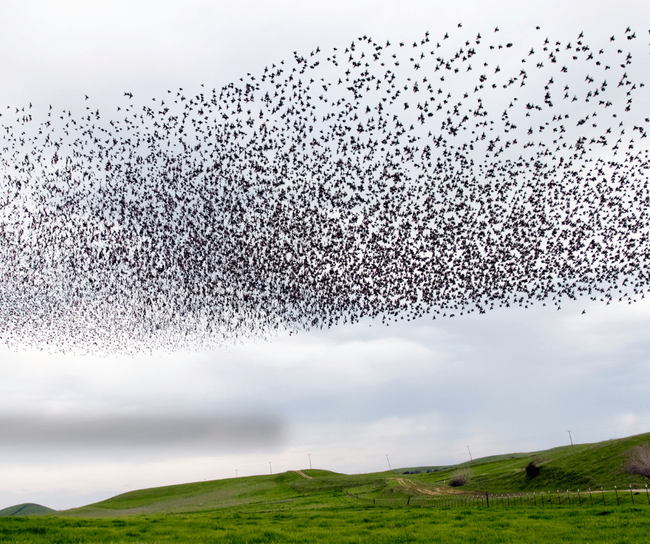 Le risorse sono&nbsp;infinite