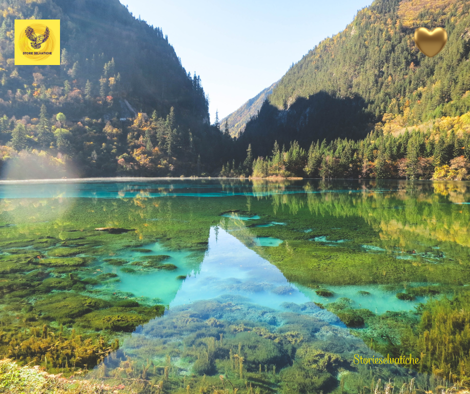 La libertà – Franco&nbsp;Califano