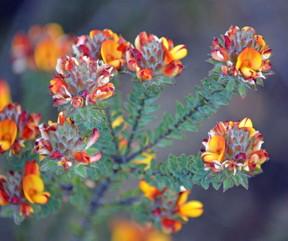 Potresti essere amato?