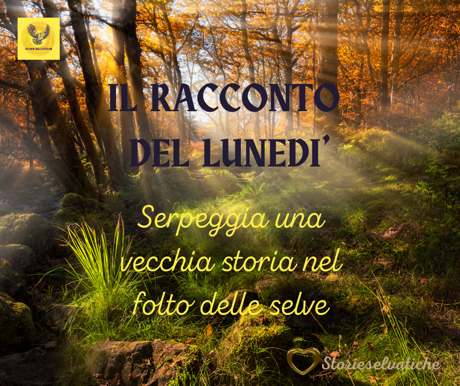 Serpeggia una Vecchia Storia, nel folto delle&nbsp;selve