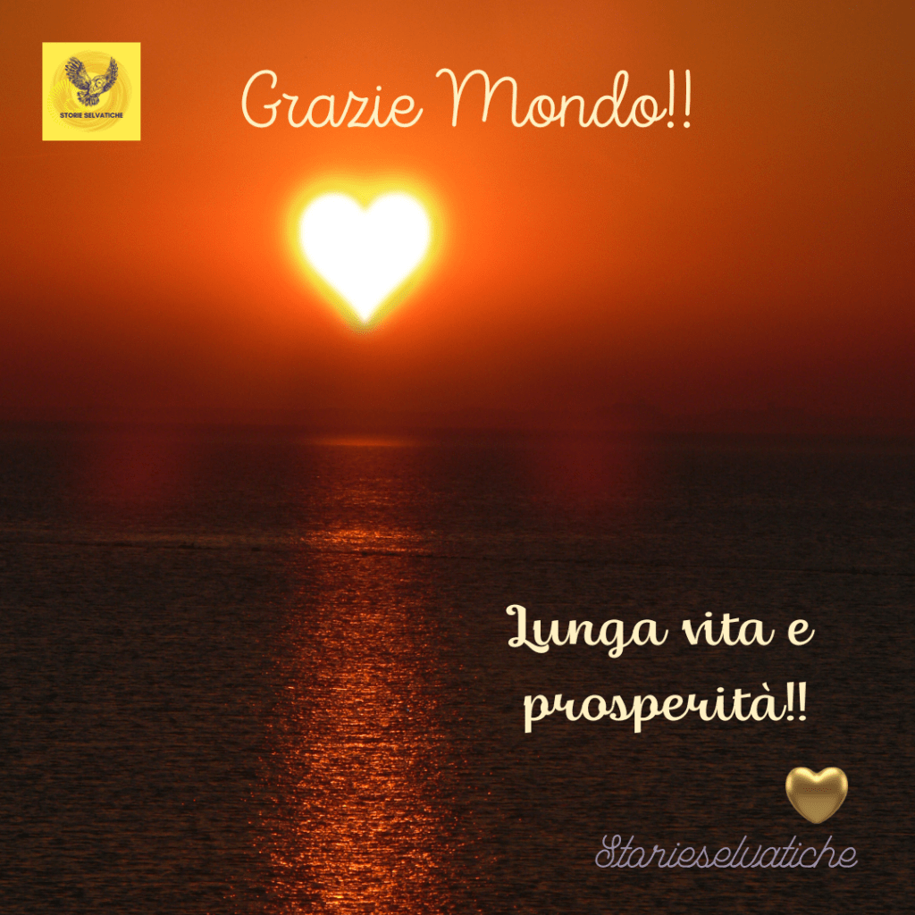 Mody Blues -Nights in white satin&nbsp;lyrics