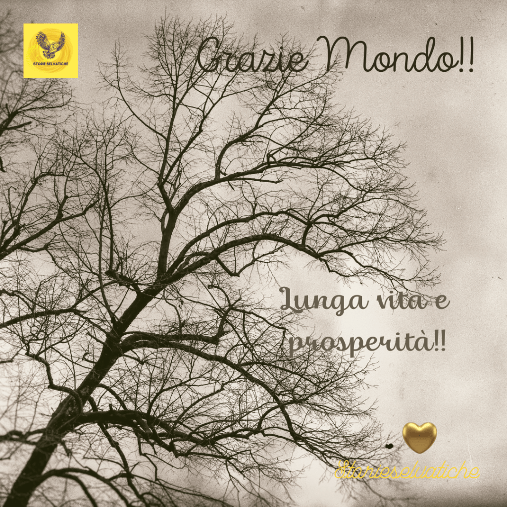 Il corto animato – Le&nbsp;pance