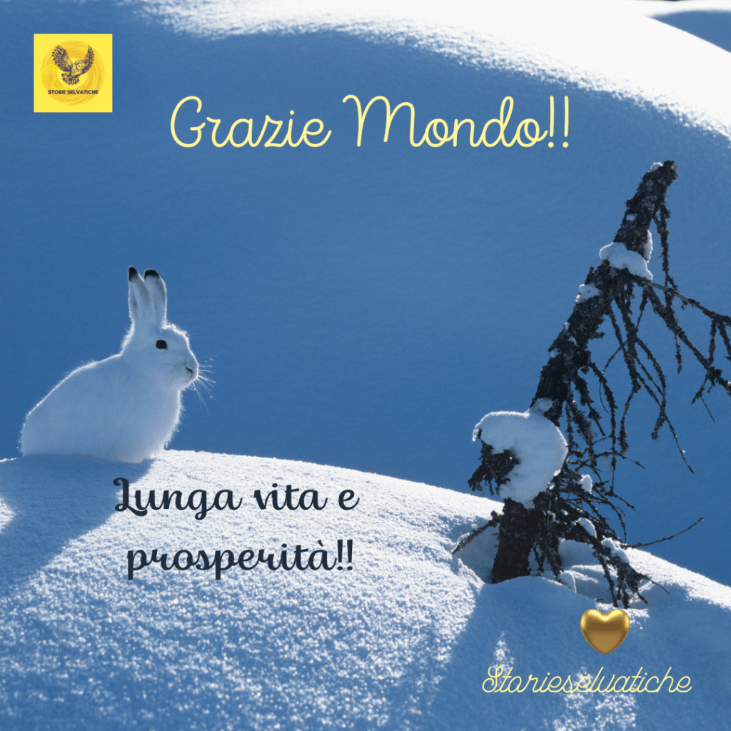 Non è vero che Dio è&nbsp;morto!💫