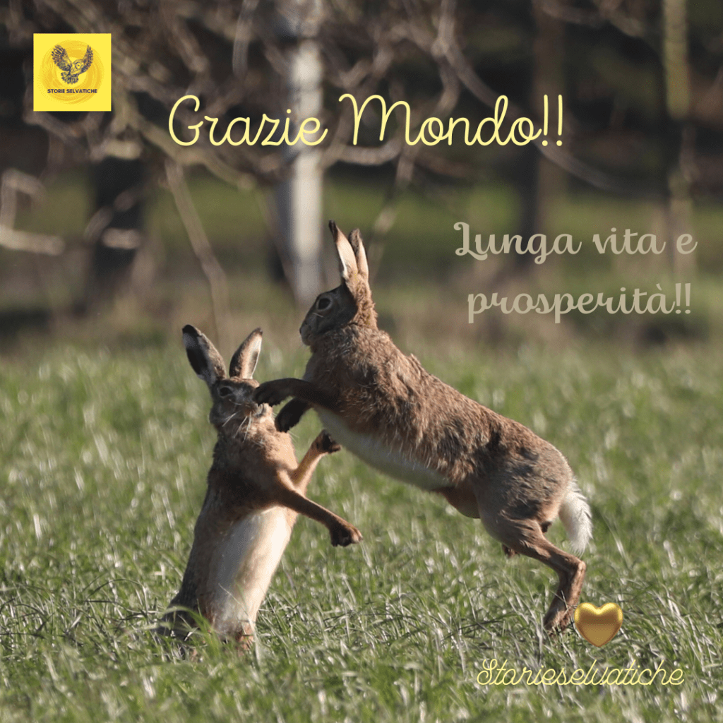 Ok, chiudiamo con lui stasera 💛Eric&nbsp;Clapton