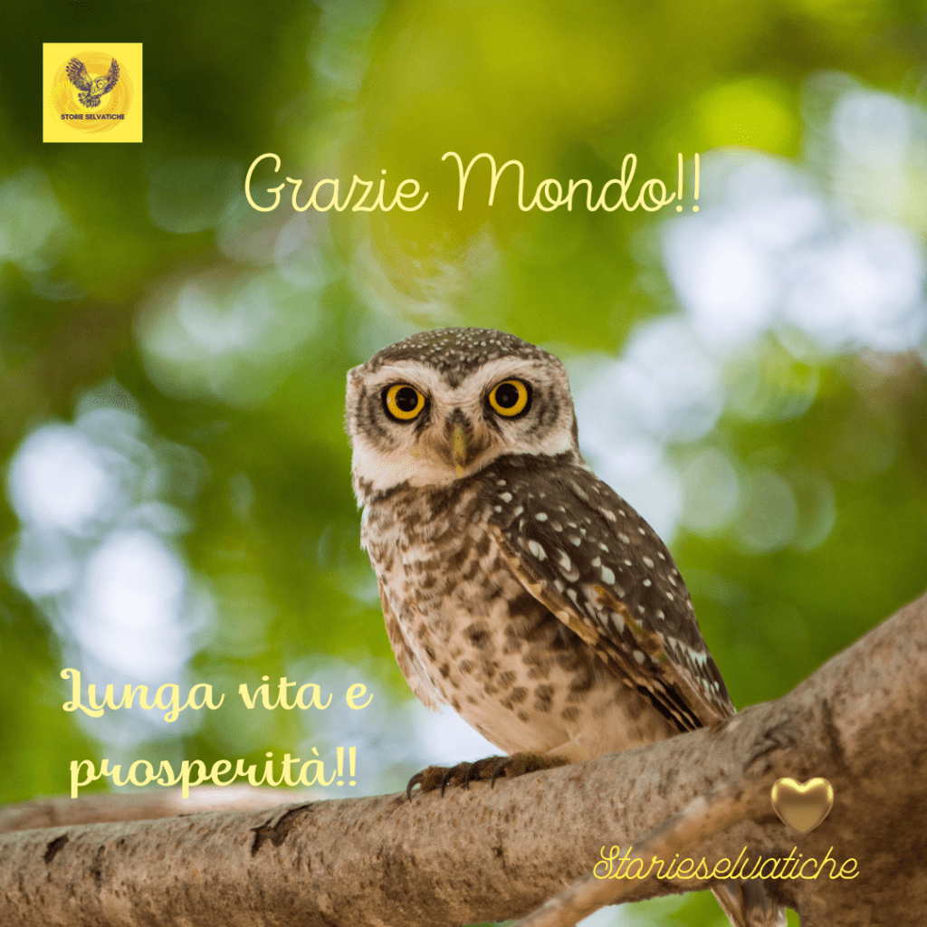 La Legge del Mentalismo –&nbsp;1