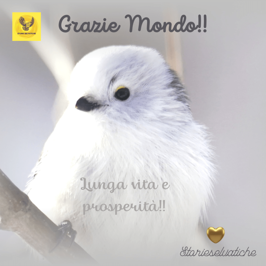 Quello che chiedo a me&nbsp;stessa…