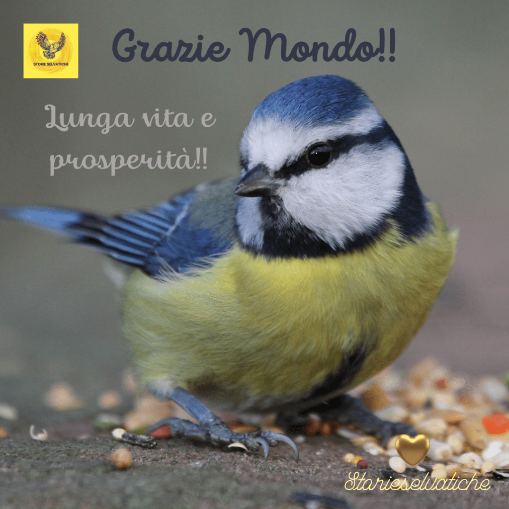 Lontano dagli occhi – Sergio&nbsp;Endrigo