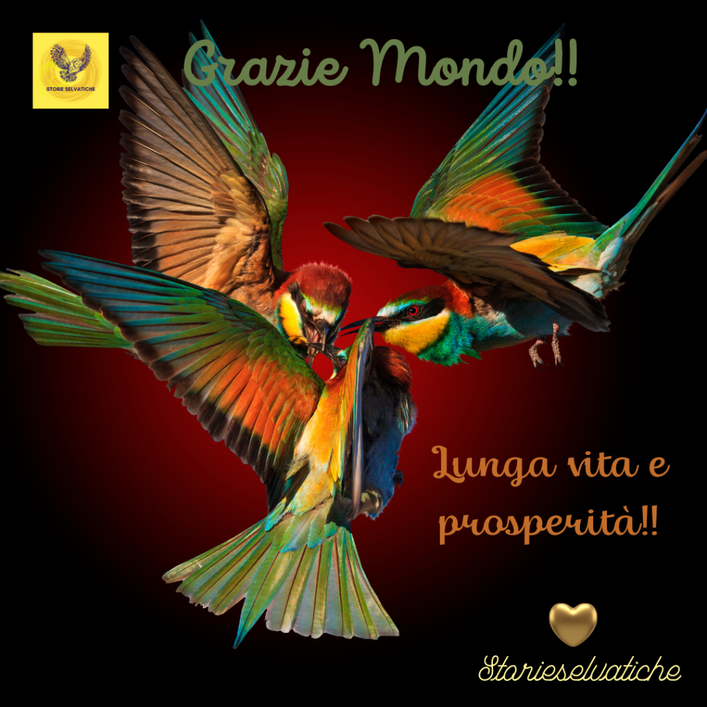 Blowin’in the Wind