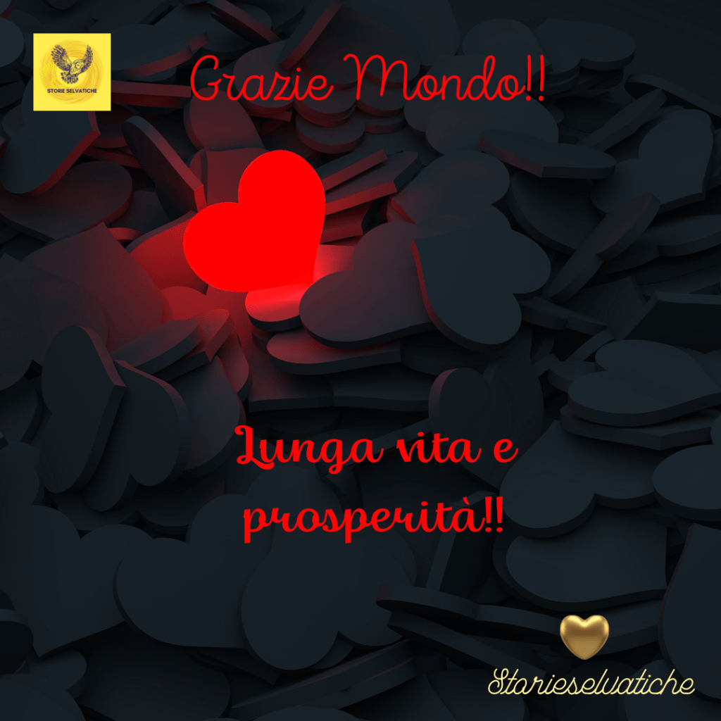 La storia d’amore più bella del&nbsp;mondo