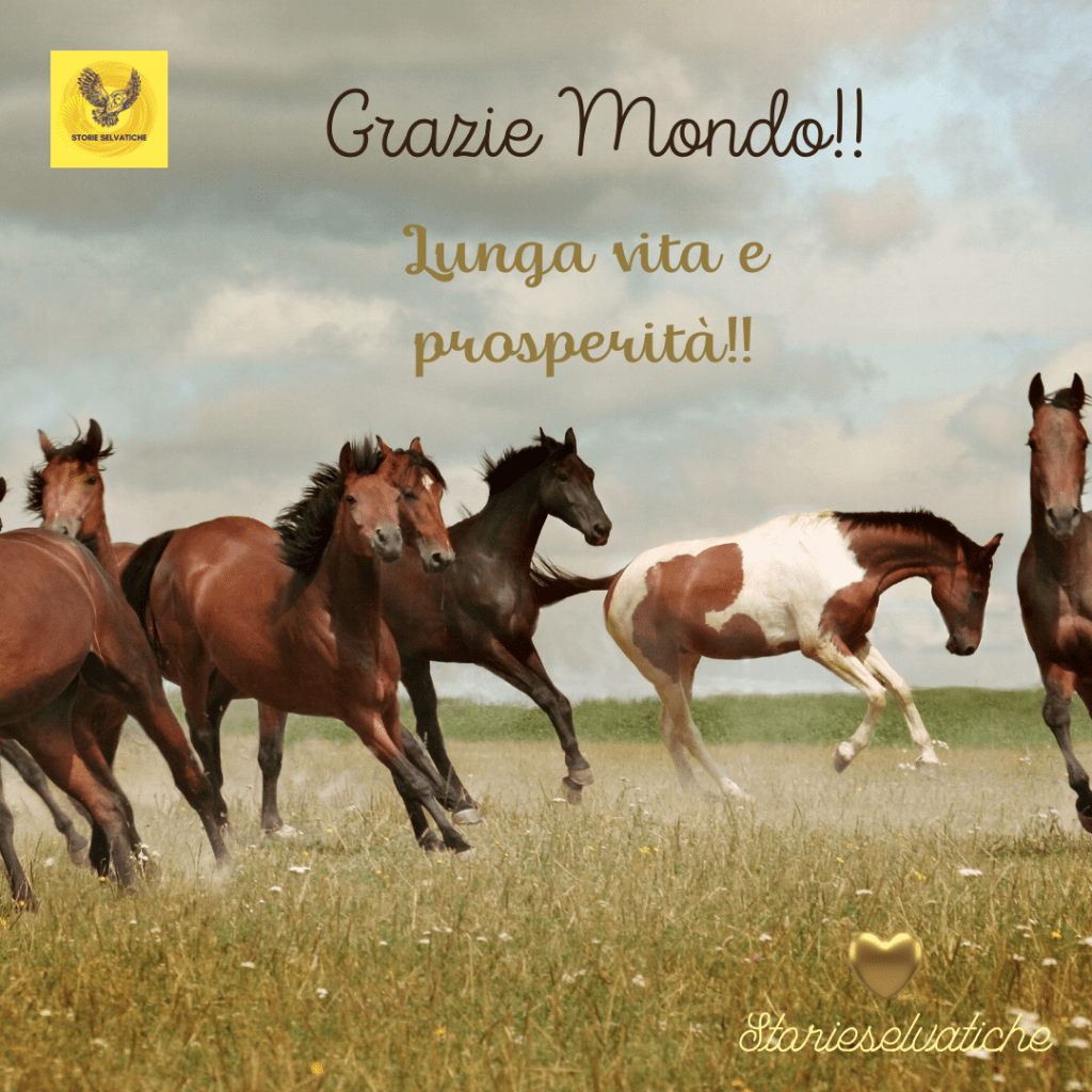 Equipe 84 – 29 settembre –&nbsp;1967