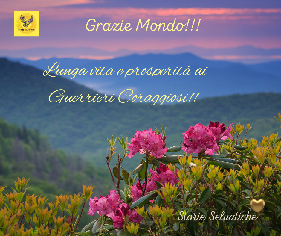 What A Wonderful&nbsp;World